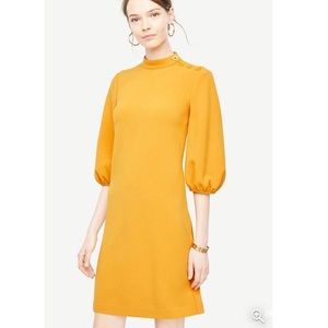 Ann Taylor Golden Maple  Puff Sleeve Dress NWT Size‎ 6P